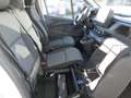 Renault TRAFIC LKW Weiß - thumbnail 4