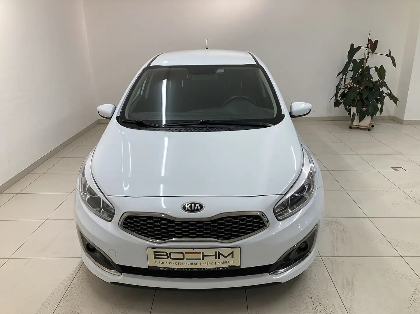 Kia Ceed / cee'd cee'd 90PS.TurboDiesel **7.990,- Titan.Plus Weiß - 2