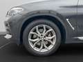 BMW X4 xDrive30d xLine Anhängerk. Driving+Parkings Assist Grau - thumbnail 10