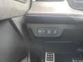 Audi Q3 TDI 110 kW Grün - thumbnail 11