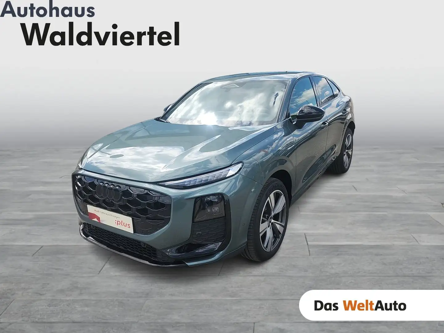 Audi Q3 TDI 110 kW Grün - 1