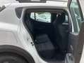 Dacia Sandero Stepway Expression TCe 90 Weiß - thumbnail 13