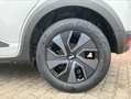 Dacia Sandero Stepway Expression TCe 90 Weiß - thumbnail 7