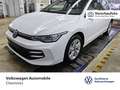 Volkswagen Golf VIII 1.5 TSI Life*AHK*LED*ACC*Sitzheizung* Weiß - thumbnail 1