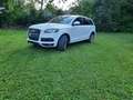 Audi Q7 Q7 3,0 TDI quattro Sport DPF Tiptronic Sport Weiß - thumbnail 2