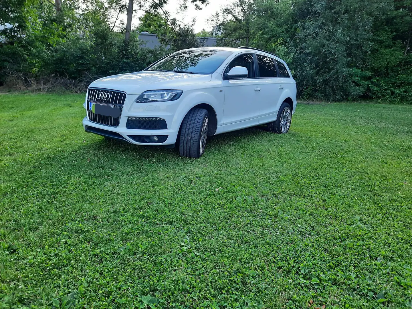 Audi Q7 Q7 3,0 TDI quattro Sport DPF Tiptronic Sport Weiß - 2