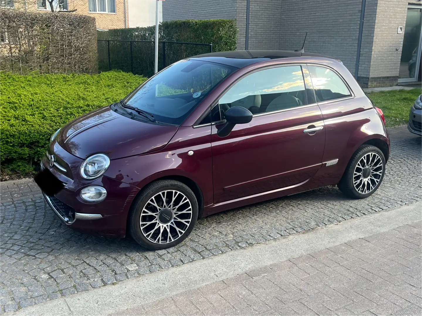 Fiat 500 500 1.0i MHEV Club Edizione Paars - 1