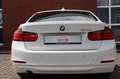 BMW 316 d Lim. Bi-Xenon Navi Weiß - thumbnail 6