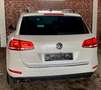 Volkswagen Touareg 3.0 TDI Sport ACC/PANO/AHK/Dynaudio/RKam Blanc - thumbnail 3