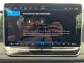 Volkswagen Tiguan GOAL 1.5 eTSI DSG AHZV AREA VIEW TRAVEL Grau - thumbnail 13