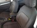 Volkswagen Golf VIII 1.5 eTSI Life DSG *ACC*PDC*SHZ* Grau - thumbnail 9