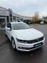 Volkswagen Passat Lim. Highline, LED, Navi, 1.Hand Blanc - thumbnail 4