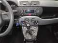 Fiat Panda Panda 1.2 Easy*5 POSTI* Blau - thumbnail 27
