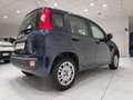 Fiat Panda Panda 1.2 Easy*5 POSTI* Blau - thumbnail 20