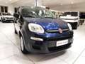 Fiat Panda Panda 1.2 Easy*5 POSTI* Blau - thumbnail 10