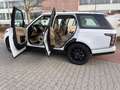 Land Rover Range Rover 3.0 V6|Leder-beige|Pano|22" Blanc - thumbnail 1