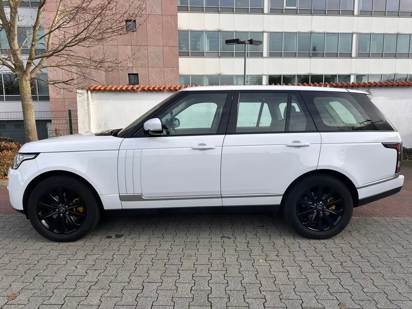 Land Rover Range Rover 3.0 V6|Leder-beige|Pano|22" Blanc - 2