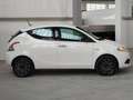 Lancia Ypsilon Ypsilon 1.2 Gold s&s 69cv my19 Blanc - thumbnail 8