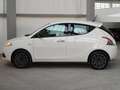 Lancia Ypsilon Ypsilon 1.2 Gold s&s 69cv my19 Blanc - thumbnail 4