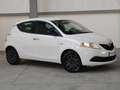 Lancia Ypsilon Ypsilon 1.2 Gold s&s 69cv my19 Blanc - thumbnail 1