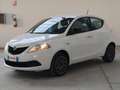Lancia Ypsilon Ypsilon 1.2 Gold s&s 69cv my19 Blanc - thumbnail 3
