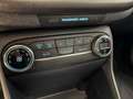 Ford Fiesta 125pk Mild Hybrid Titanium Navigatie ECC CRUISE DA Noir - thumbnail 10