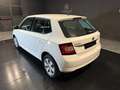 Skoda Fabia 1.4 TDI 75 CV Active Bianco - thumbnail 6