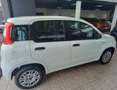 Fiat Panda 1.2 Easy Bianco - thumbnail 3