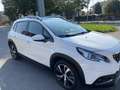 Peugeot 2008 1.5 bluehdi Allure s&s 120cv eat6 Bianco - thumbnail 2