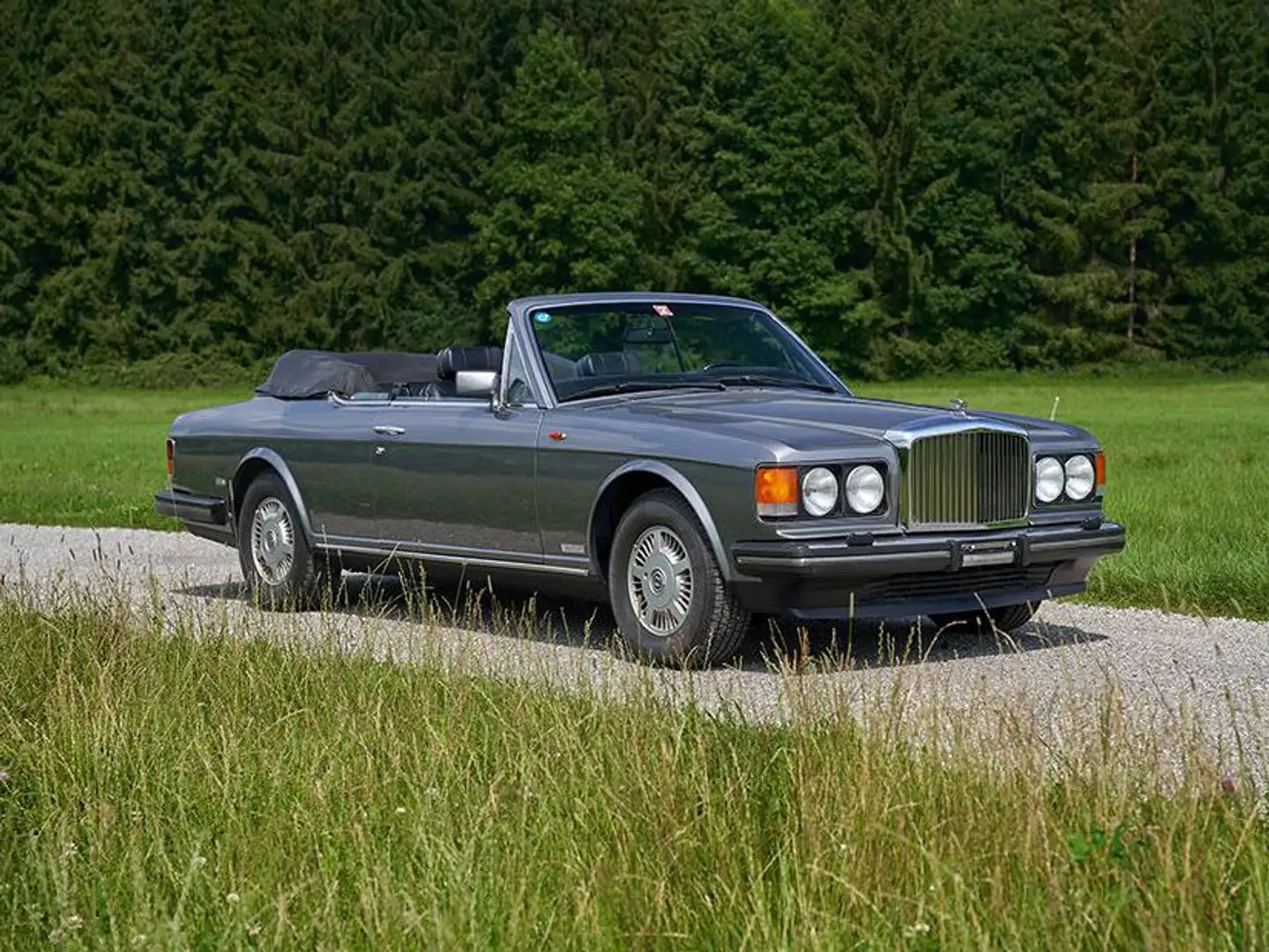 Bentley Azure Spyder siva - 1