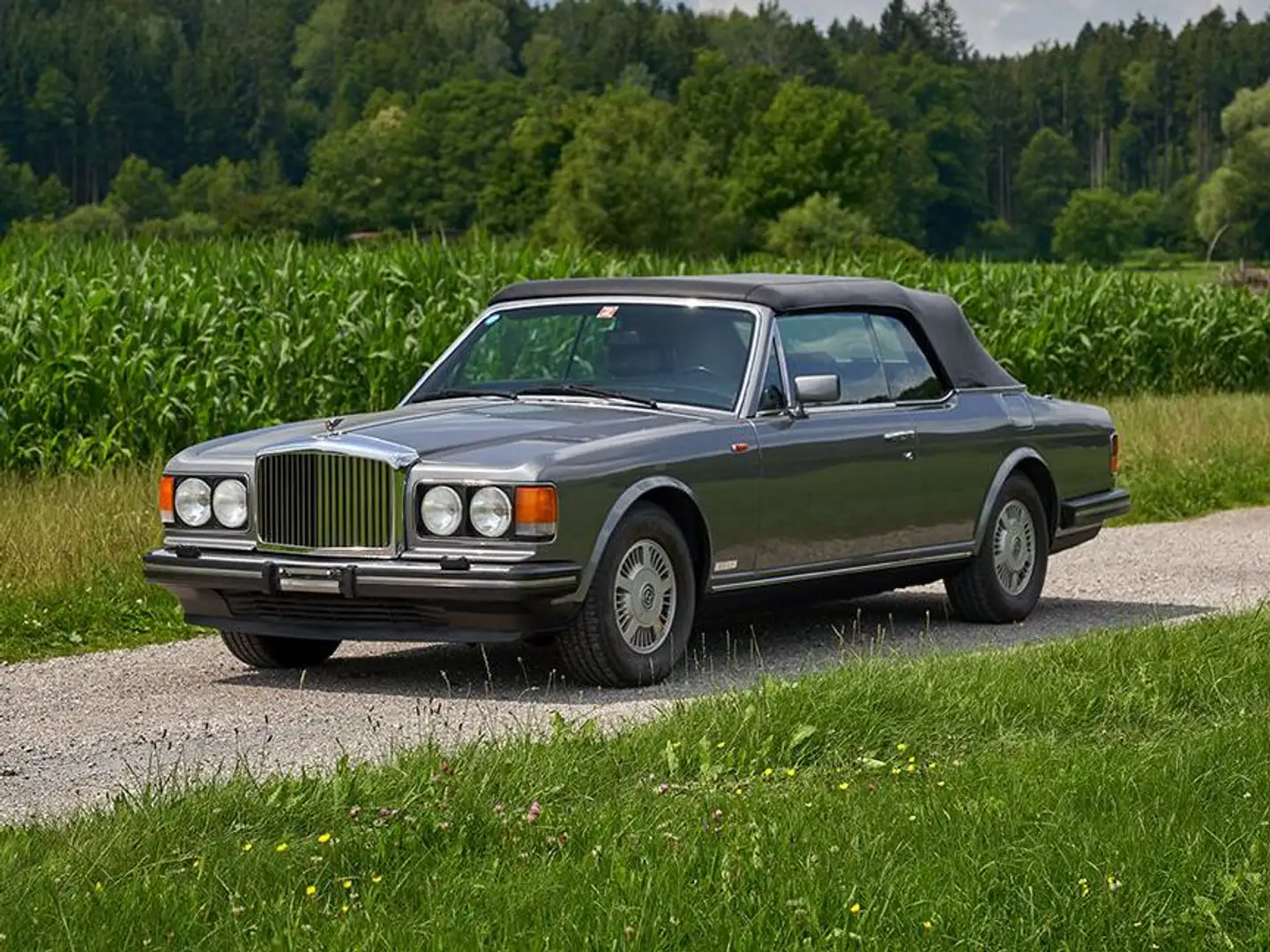 Bentley Azure Spyder siva - 2