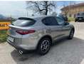 Alfa Romeo Stelvio Stelvio 2020 2.2 t Business rwd 160cv auto Grigio - thumbnail 8