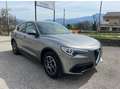 Alfa Romeo Stelvio Stelvio 2020 2.2 t Business rwd 160cv auto Grigio - thumbnail 10