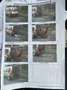 Renault Kangoo Kangoo I 2005 1.2 16v Trasporto disabile Gris - thumbnail 15