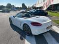 Porsche Boxster Boxster III 981  2.7 265cv PRIMA VERNICE Weiß - thumbnail 32