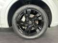 Volkswagen Touareg 3.0 TSI R-Line 4M|Pano|AHK|HUD|360°|LM20 Blanc - thumbnail 29