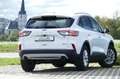 Ford Kuga Plug-In Hybrid Titanium X Weiß - thumbnail 3