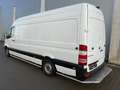 Mercedes-Benz Sprinter II Kasten 311/313 MAXI Automatik EURO6 Wit - thumbnail 5