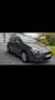 Fiat Punto Evo 1.3 MultiJet Dynamic Stop&Start DPF Gris - thumbnail 3