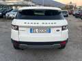 Land Rover Range Rover Evoque 5p 2.2 td4 Dynamic 150cv Interni pelle Tagliandata Weiß - thumbnail 4