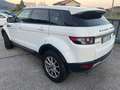 Land Rover Range Rover Evoque 5p 2.2 td4 Dynamic 150cv Interni pelle Tagliandata Weiß - thumbnail 3