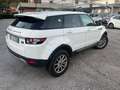 Land Rover Range Rover Evoque 5p 2.2 td4 Dynamic 150cv Interni pelle Tagliandata Weiß - thumbnail 5