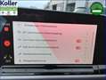 Volkswagen Golf Variant VIII Alltrack 2.0 TDI DSG 4MO DCC Gris - thumbnail 16
