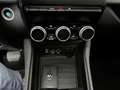 Renault ZOE Zen R110 Flex e-shifter my20 Bianco - thumbnail 10