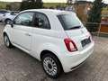 Fiat 500 Dolcevita HYBRID Bianco - thumbnail 3