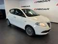 Lancia Ypsilon Ypsilon 1.2 8v Gold s NEOPATENTATI 70.000 KM Bianco - thumbnail 3
