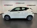 Lancia Ypsilon Ypsilon 1.2 8v Gold s NEOPATENTATI 70.000 KM Bianco - thumbnail 6