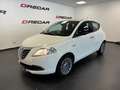 Lancia Ypsilon Ypsilon 1.2 8v Gold s NEOPATENTATI 70.000 KM Bianco - thumbnail 1