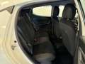 Lancia Ypsilon Ypsilon 1.2 8v Gold s NEOPATENTATI 70.000 KM Bianco - thumbnail 11