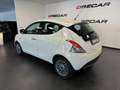 Lancia Ypsilon Ypsilon 1.2 8v Gold s NEOPATENTATI 70.000 KM Bianco - thumbnail 5